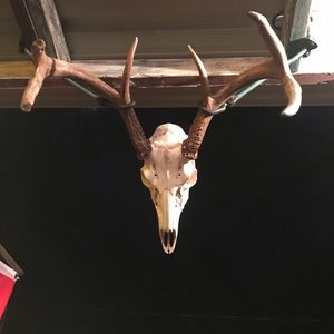 Meet your Posher, Kevin